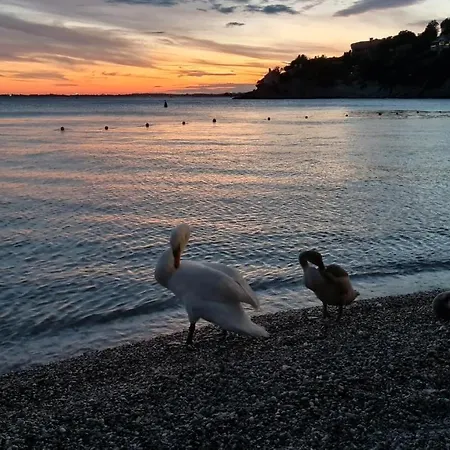 Cantina * Duino-Aurisina