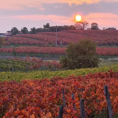 Appartamento Cantina Aurisina