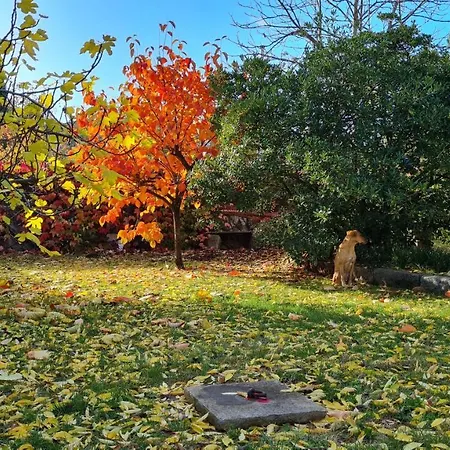 Appartamento Cantina *