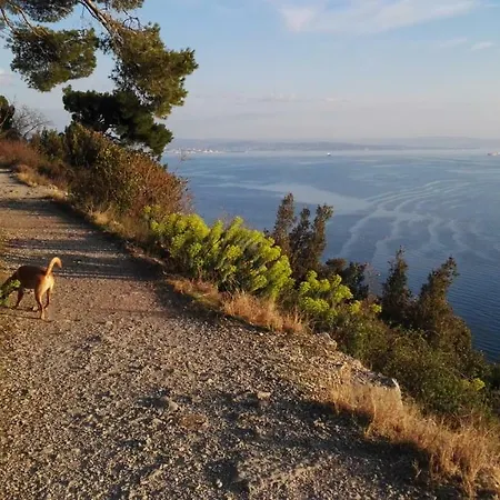 Appartamento Cantina