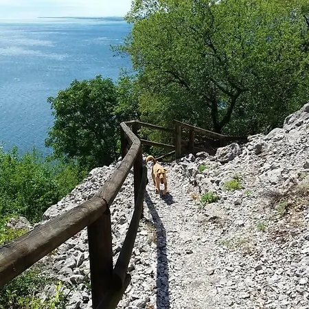 Cantina * Duino-Aurisina